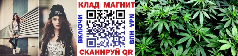 Виды наркоты Фрязино hydra вход Кокаин Меф Марихуана