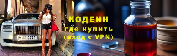 хмурый Арсеньев