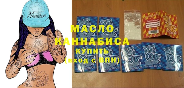 хмурый Арсеньев