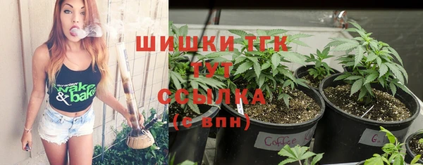 хмурый Арсеньев