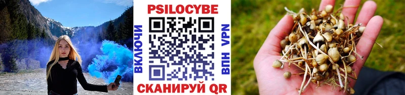 hydra ССЫЛКА  закладки  Фрязино  Галлюциногенные грибы прущие грибы 
